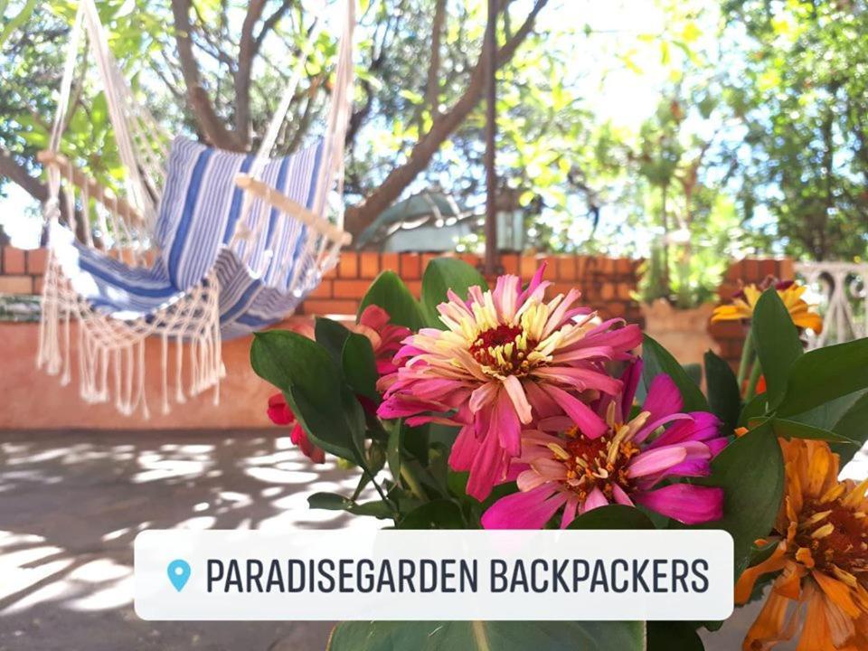 Paradisegarden Backpackers วินด์ฮุก ภายนอก รูปภาพ